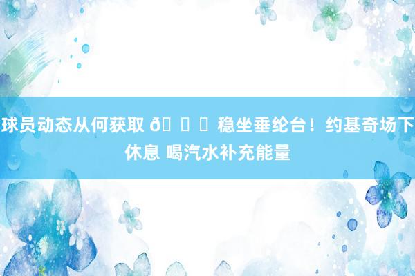 球员动态从何获取 😂稳坐垂纶台！约基奇场下休息 喝汽水补充能量