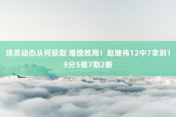 球员动态从何获取 难挽败局！赵继伟12中7拿到19分5板7助2断