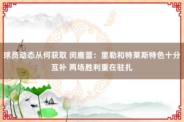 球员动态从何获取 闵鹿蕾：里勒和特莱斯特色十分互补 两场胜利重在驻扎