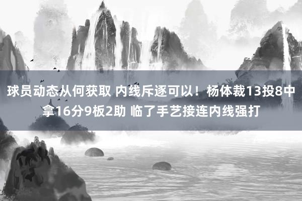 球员动态从何获取 内线斥逐可以！杨体裁13投8中拿16分9板2助 临了手艺接连内线强打