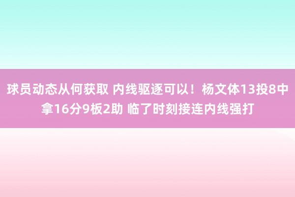 球员动态从何获取 内线驱逐可以！杨文体13投8中拿16分9板2助 临了时刻接连内线强打