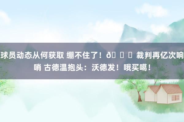 球员动态从何获取 绷不住了！😂裁判再亿次响哨 古德温抱头：沃德发！哦买噶！