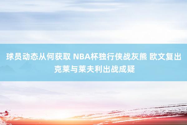 球员动态从何获取 NBA杯独行侠战灰熊 欧文复出 克莱与莱夫利出战成疑